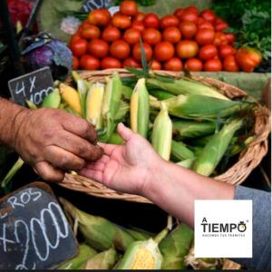 Compras a domicilio Temuco - Atiempo