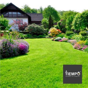 Cuidamos tu casa Temuco - Atiempo